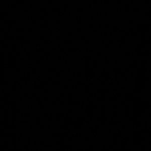 Meet your Posher, Delina